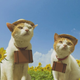 Image for article titled Cats Are the Cutest Guides to Japan